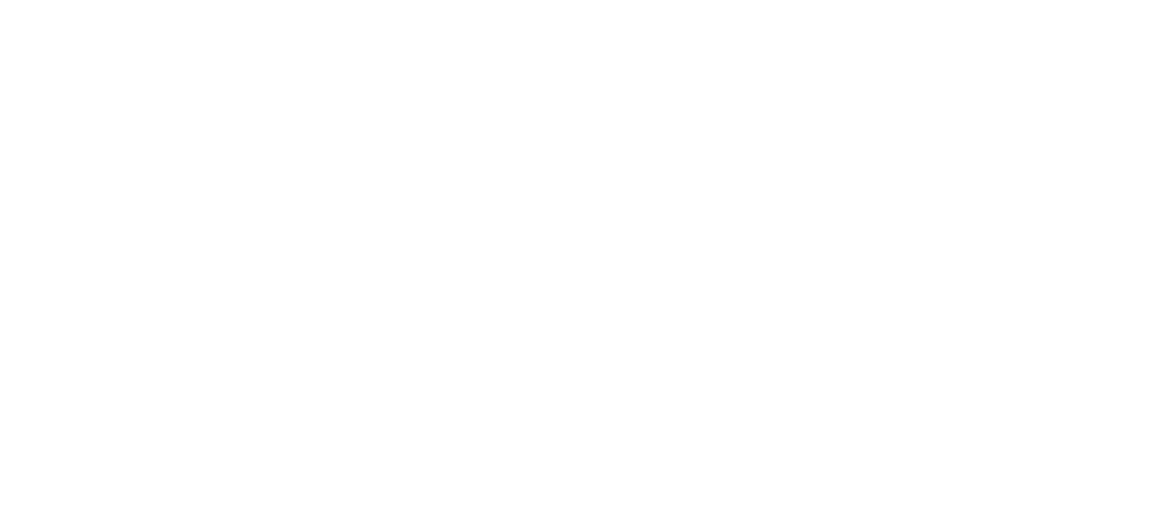 SKYBOOK