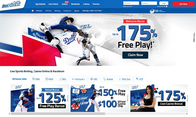 BetPhoenix Page View