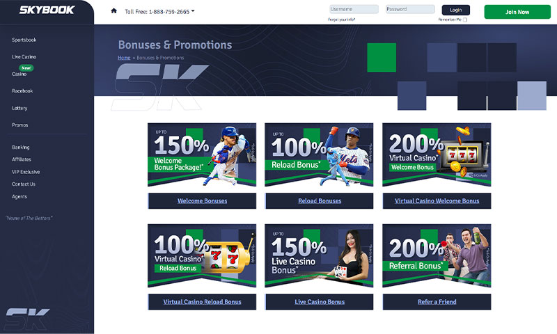 Skybook Page View