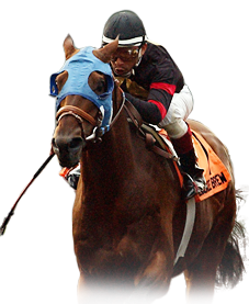 Products Horse Racing